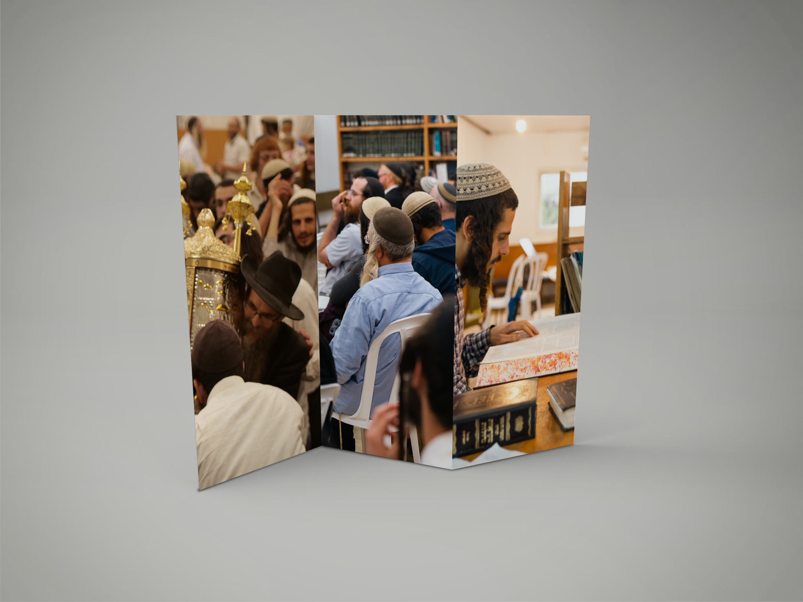 הדמיה – Z-Fold